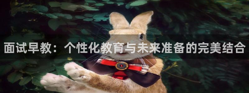 威九国际旗下艺人都有谁：面试早教：个性化教育与未来准备的完美结合