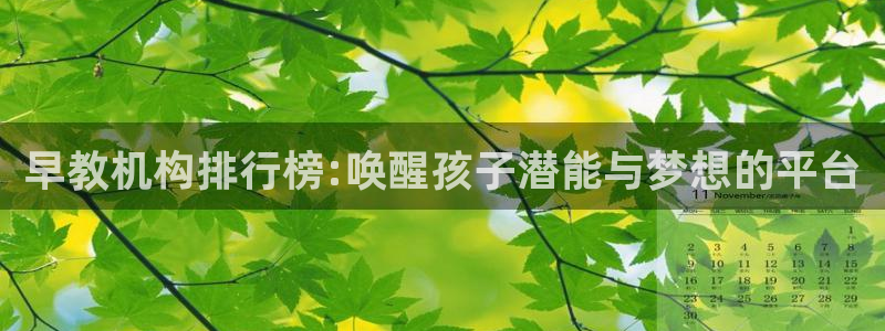 威九国际78mob游戏亮点：早教机构排行榜:唤醒孩子潜能与梦想的平台