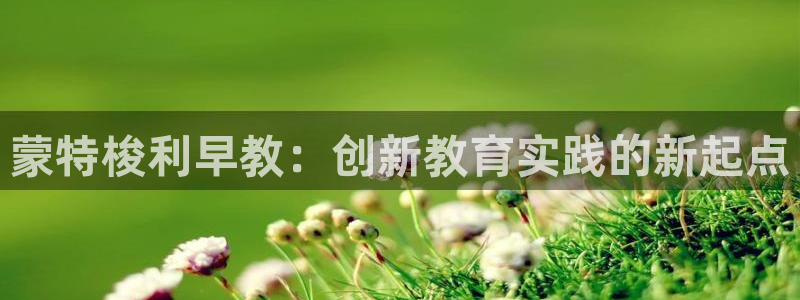 威九国际官网在线进入网站查询:蒙特梭利早教:创新教育实践的新起点