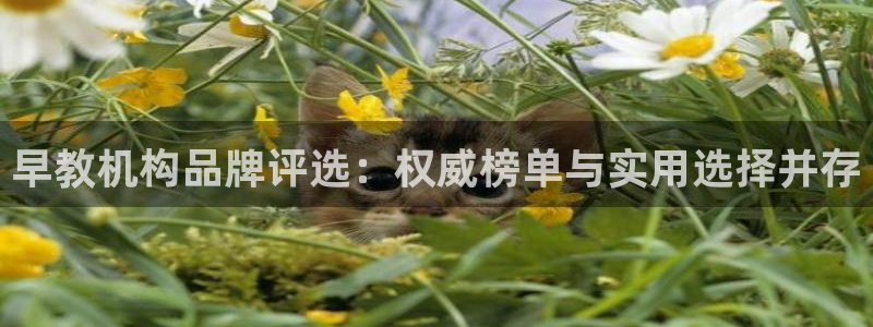 威九国际免费游戏：早教机构品牌评选：权威榜单与实用选择并存