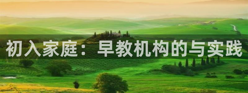 威九国际取款机怎么取：初入家庭：早教机构的与实践