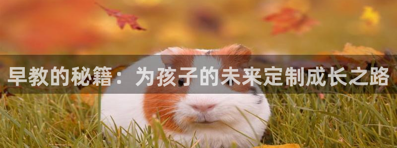 威九国际服：早教的秘籍：为孩子的未来定制成长之路