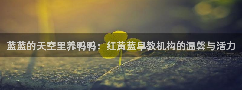 威九国际小说：蓝蓝的天空里养鸭鸭：红黄蓝早教机构的温馨与活力
