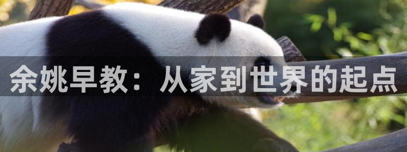 威九国际app客服电话号码:余姚早教:从家到世界的起点