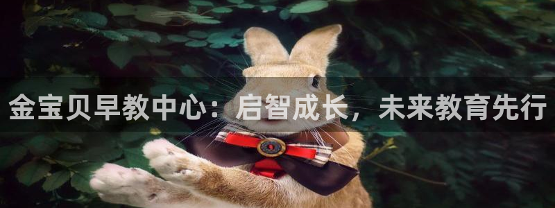 威九国际下载官网app：金宝贝早教中心：启智成长，未来教育先行
