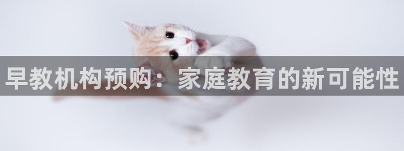 威九国际能提现吗安全吗：早教机构预购：家庭教育的新可能性