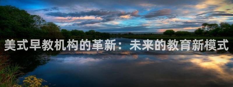 威九国际网站官网：美式早教机构的革新：未来的教育新模式