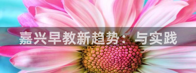 威九国际摩托电影HD：嘉兴早教新趋势：与实践