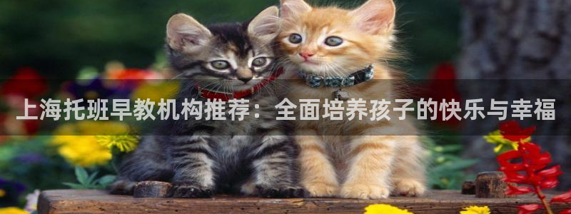 威九国际游戏入口：上海托班早教机构推荐：全面培养孩子的快乐与幸福