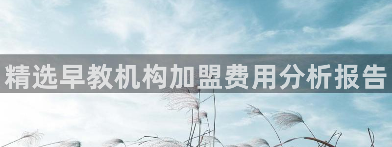 保定威九网络科技有限公司怎么样：精选早教机构加盟费用分析报告