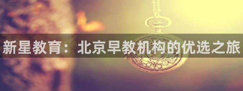 威九国际网站进入产品中心：新星教育：北京早教机构的优选之旅