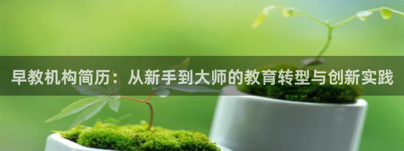 威九国际FF:早教机构简历:从新手到大师的教育转型与创新实践