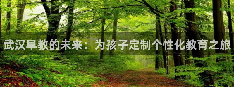 威九国际com:武汉早教的未来:为孩子定制个性化教育之旅