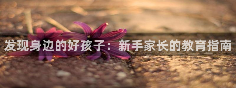 威九国际官网版：发现身边的好孩子：新手家长的教育指南