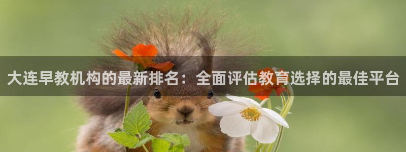 威九国际全国空降：大连早教机构的最新排名：全面评估教育选择的最佳平台