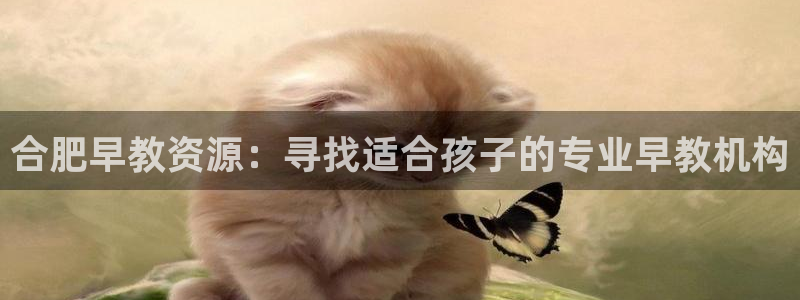 威九国际视频传媒招聘：合肥早教资源：寻找适合孩子的专业早教机构