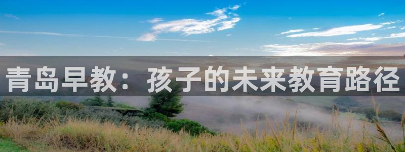 威九国际合作伙伴有哪些：青岛早教：孩子的未来教育路径