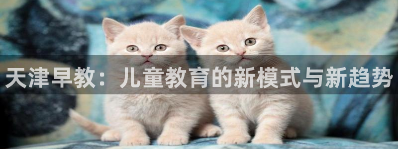 威九国际ppt免费：天津早教：儿童教育的新模式与新趋势