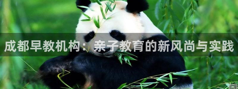 威九国际免费ppt网址：成都早教机构：亲子教育的新风尚与实践