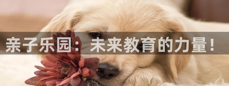 78mapp威九国际人民网：亲子乐园：未来教育的力量！