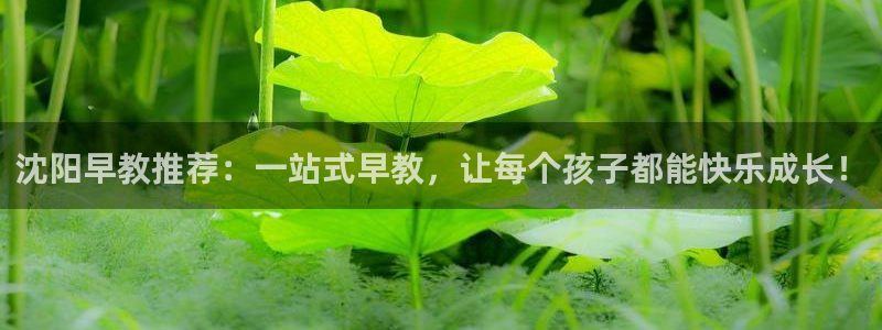 威九国际空降服务女演员叫什么名字:沈阳早教推荐:一站式早教,让每个孩子都能快乐成