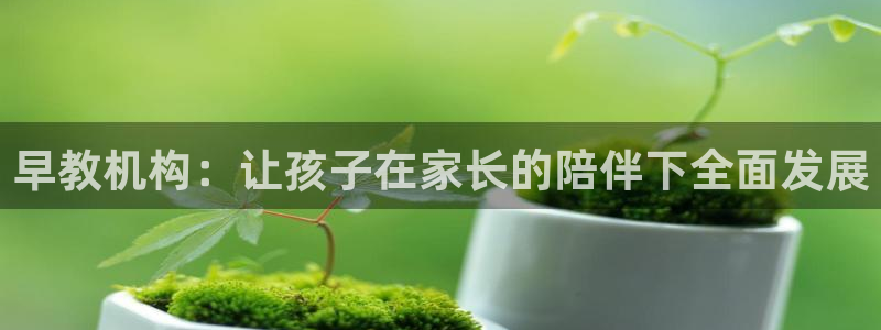 威九国际官网在线进入网站查询网址：早教机构：让孩子在家长的陪伴下全面发展
