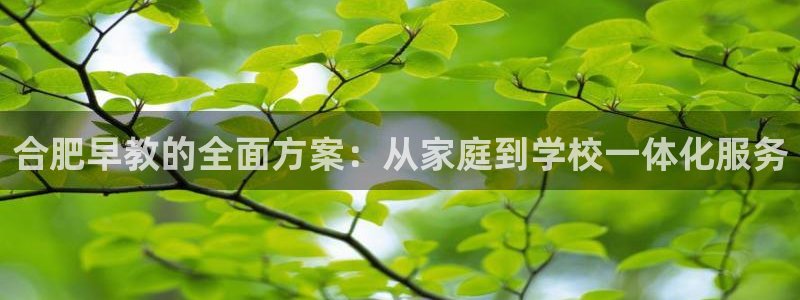 威九国际78免下载:合肥早教的全面方案:从家庭到学校一体化服务