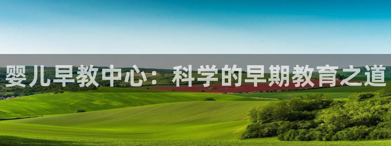 威九国际合作伙伴有哪些:婴儿早教中心:科学的早期教育之道