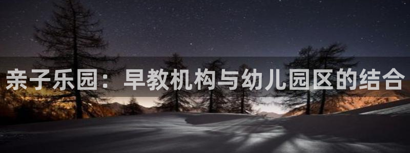 威九国际v8：亲子乐园：早教机构与幼儿园区的结合