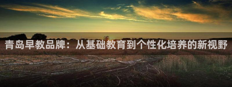 威九国际HP:青岛早教品牌:从基础教育到个性化培养的新视野