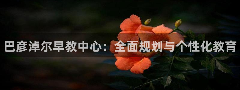 威九国际取款机怎么取:巴彦淖尔早教中心:全面规划与个性化教育