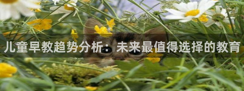威九国际电影2022年9月月:儿童早教趋势分析:未来最值得选择的教育