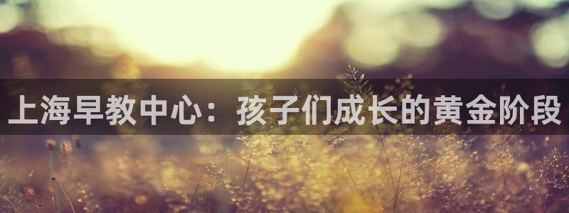 威九国际:上海早教中心:孩子们成长的黄金阶段