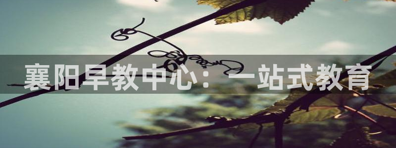 威九国际v96242cc官网版:襄阳早教中心:一站式教育