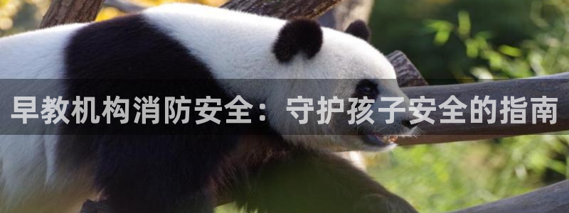 威九国际坑人的嘛:早教机构消防安全:守护孩子安全的指南