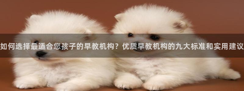 威九国际最新网站:如何选择最适合您孩子的早教机构?优质早教机构的九大标准和实用建