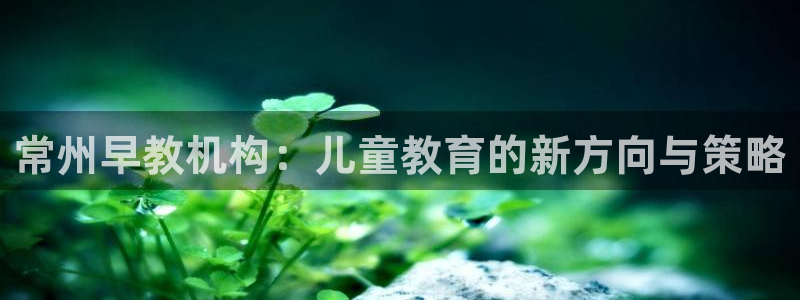 保定威九网络科技有限公司：常州早教机构：儿童教育的新方向与策略