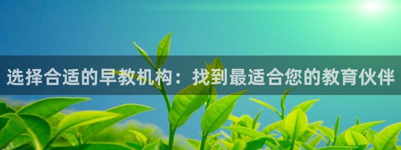 威九国际网站入口rdquo：选择合适的早教机构：找到最适合您的教育伙伴