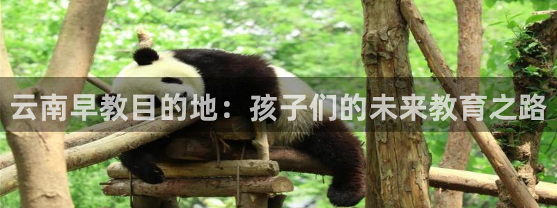 威九国际78mb游戏：云南早教目的地：孩子们的未来教育之路