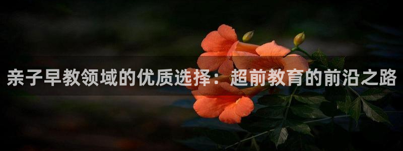 威九国际电影HD:亲子早教领域的优质选择:超前教育的前沿之路