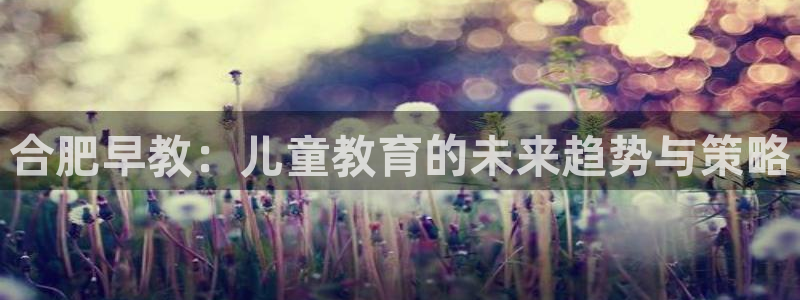 威九国际网站进入客服中心了吗:合肥早教:儿童教育的未来趋势与策略