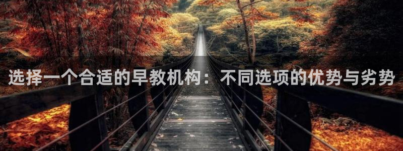 威九国际官网在线进入网站查询:选择一个合适的早教机构:不同选项的优势与劣势