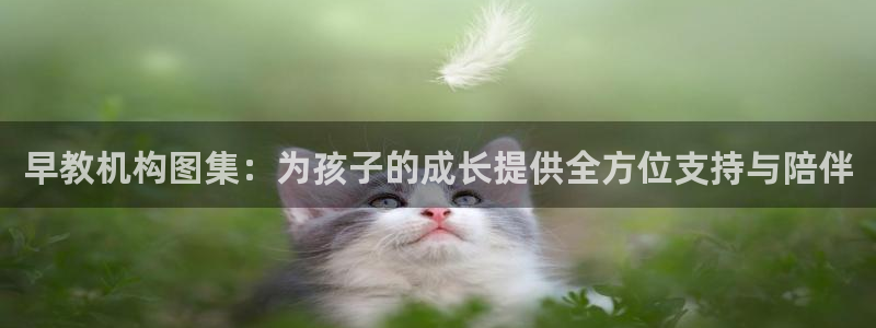 威九国际最新网站:早教机构图集:为孩子的成长提供全方位支持与陪伴