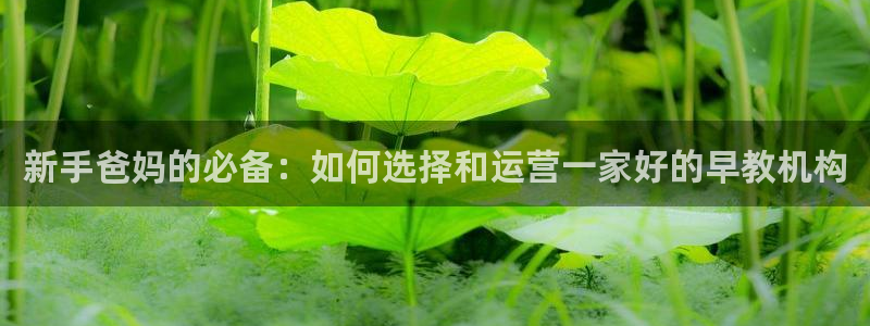 威九国际66视频:新手爸妈的必备:如何选择和运营一家好的早教机构