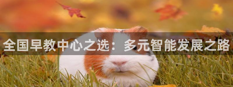 威九国际特殊奖励我的奖励竟然是嫂子:全国早教中心之选:多元智能发展之路