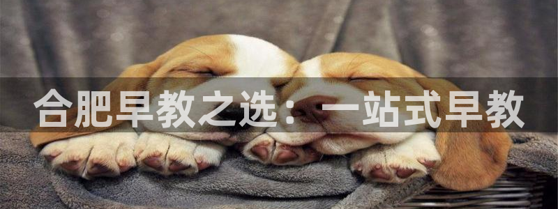 威九国际精彩推荐:合肥早教之选:一站式早教