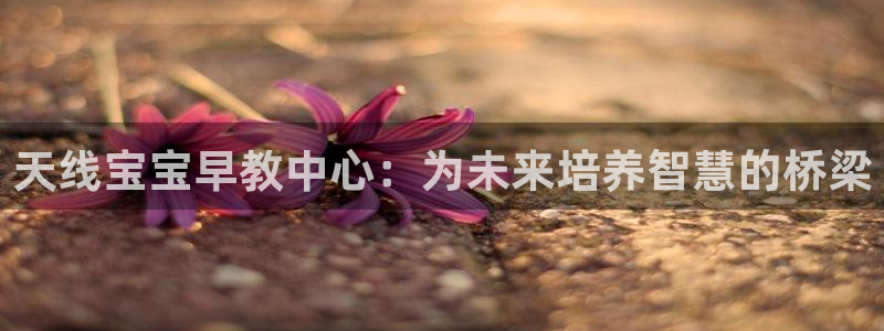 威九国际黑钱:天线宝宝早教中心:为未来培养智慧的桥梁