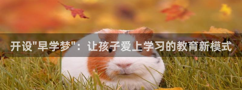 威九国际66m66成长模式:开设\