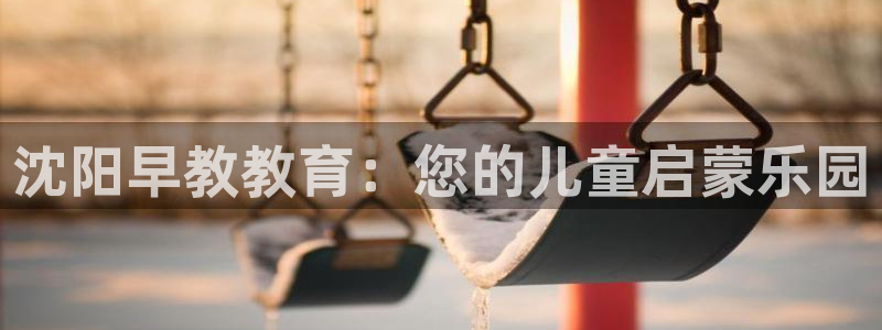 威九国际网站链接：沈阳早教教育：您的儿童启蒙乐园