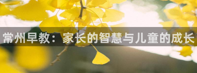 威九国际网站入口官网免费:常州早教:家长的智慧与儿童的成长